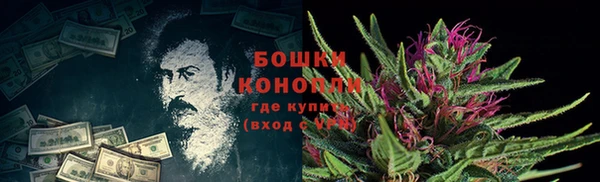 бошки Саяногорск