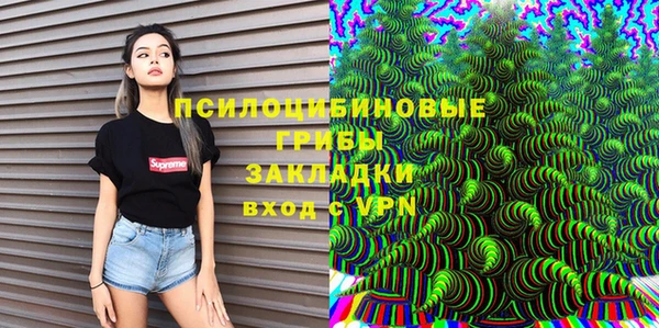 ГАЛЛЮЦИНОГЕННЫЕ ГРИБЫ Алексеевка