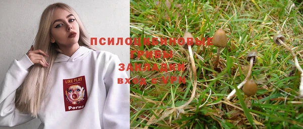 ГАЛЛЮЦИНОГЕННЫЕ ГРИБЫ Алексеевка