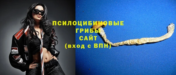 ГАЛЛЮЦИНОГЕННЫЕ ГРИБЫ Алексеевка